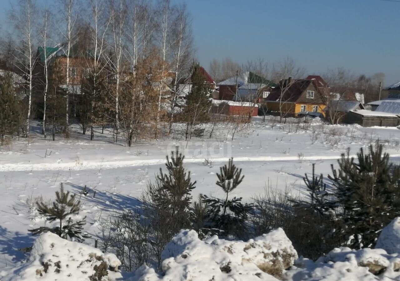 земля р-н Новосибирский п Приобский сельсовет, Кудряшовский фото 2