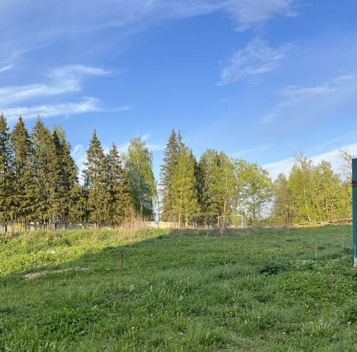 квартира городской округ Рузский д Старая Руза фото 15