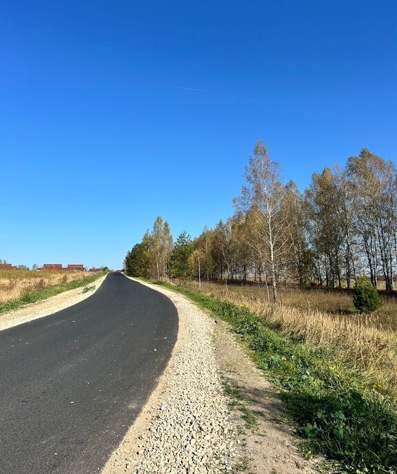 земля р-н Богородский с Спирино ул Широкая 1-я фото 7