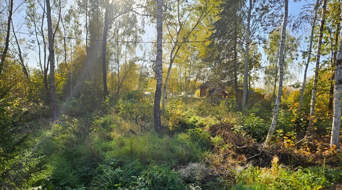 земля городской округ Одинцовский д Хлюпино фото 2