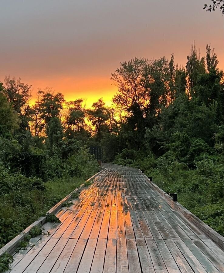 квартира г Махачкала р-н Кировский Благородная ул., 10 фото 18