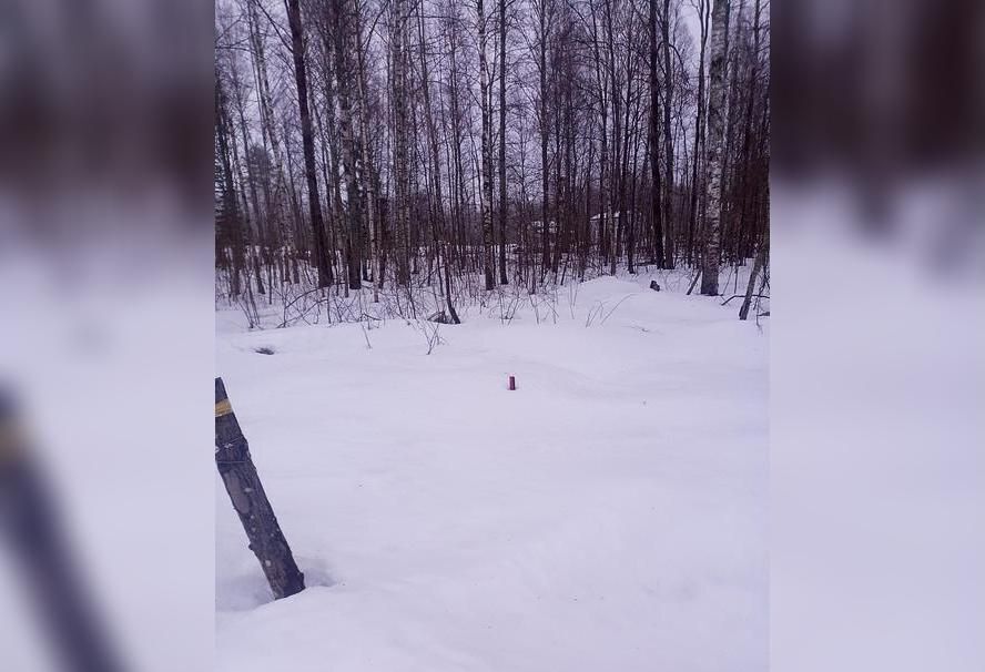 земля р-н Всеволожский г Всеволожск Дорога жизни, 8 км, Всеволожское городское поселение фото 1