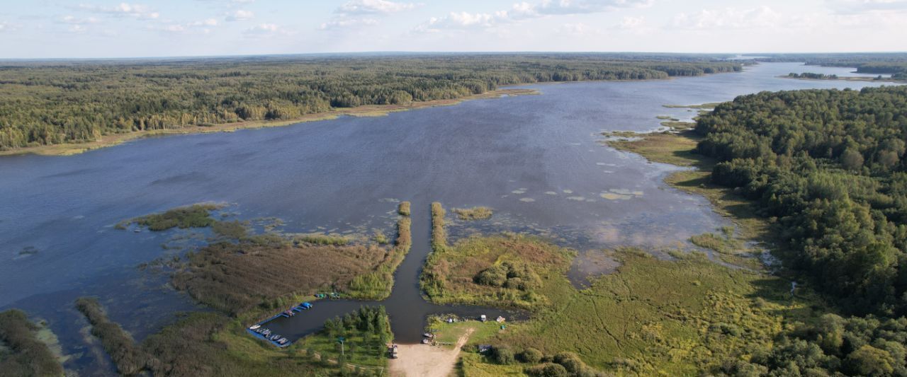 земля р-н Зубцовский д Старое Устиново ул Школьная фото 4