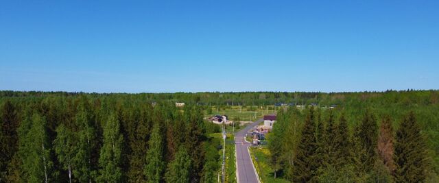 д Пухолово Мгинское городское поселение, Апраксинская Усадьба кп фото