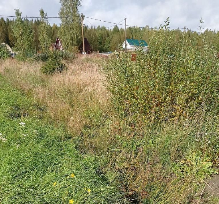 земля р-н Выборгский снт Петровское Каменногорское городское поселение, Возрожденский массив фото 5