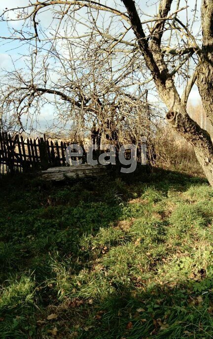 дом р-н Рогнединский д Ормино ул Заречная фото 8