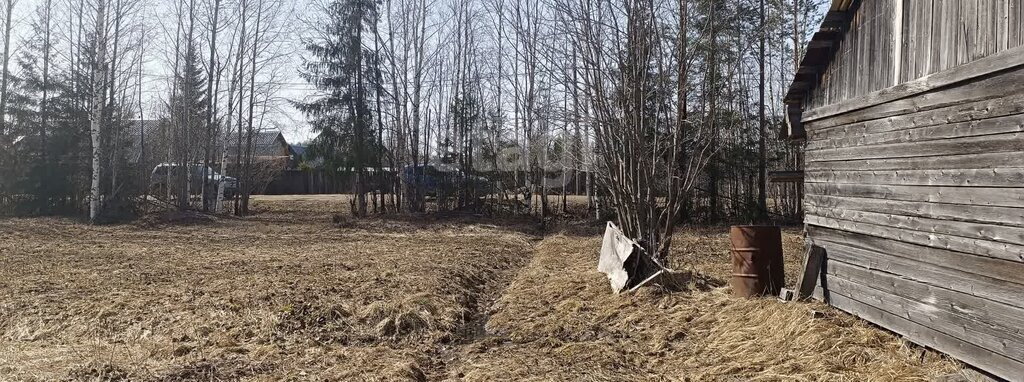 земля р-н Сыктывдинский муниципальное образование Выльгорт, садоводческое товарищество Лесное-2 фото 7