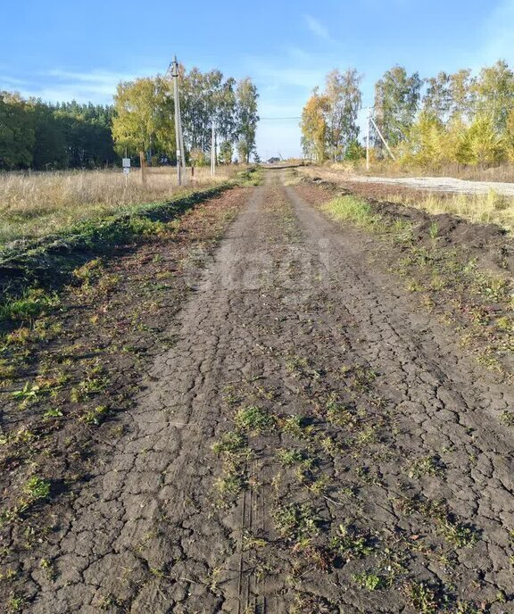 земля г Ульяновск с Луговое р-н Железнодорожный фото 5