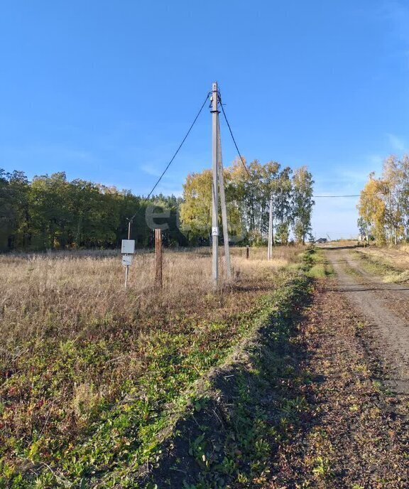 земля г Ульяновск с Луговое р-н Железнодорожный фото 15