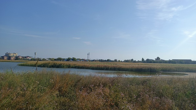 муниципальный округ Анапа, станица Благовещенская фото