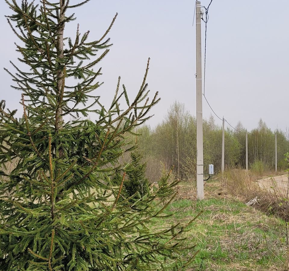 земля городской округ Дмитровский п Подосинки 9758 км, Деденево, Дмитровское шоссе фото 3