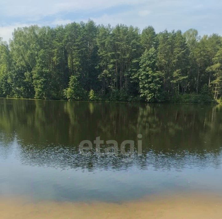 дом г Смоленск р-н Заднепровский ул Центральная фото 18