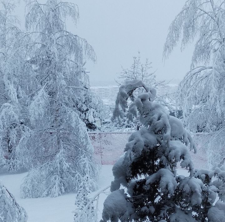 квартира городской округ Егорьевск д Холмы мкр Лесной 4к/1 фото 20