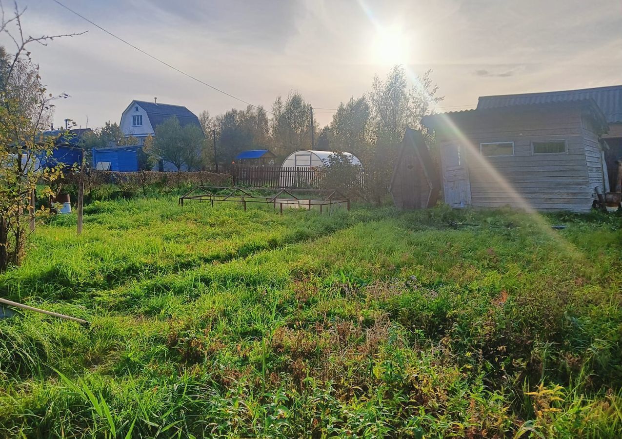 дом городской округ Орехово-Зуевский садовое товарищество Уголёк, Берёзовая ул, Орехово-Зуево фото 11