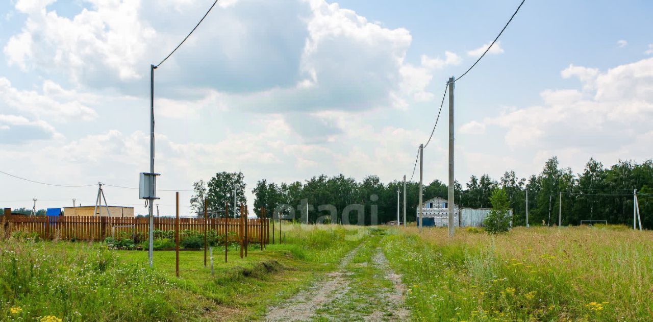 земля р-н Новосибирский Морской сельсовет, Ближняя дача ТСН, ул. Бирюзовая фото 6