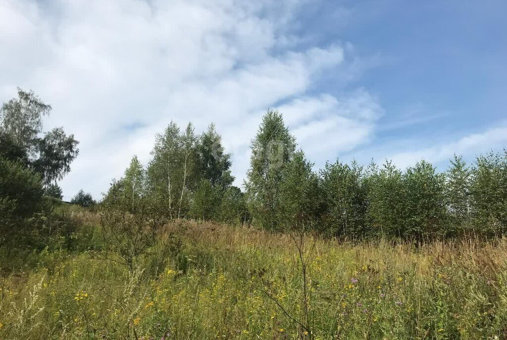 земля городской округ Серпухов д Райсеменовское фото 3