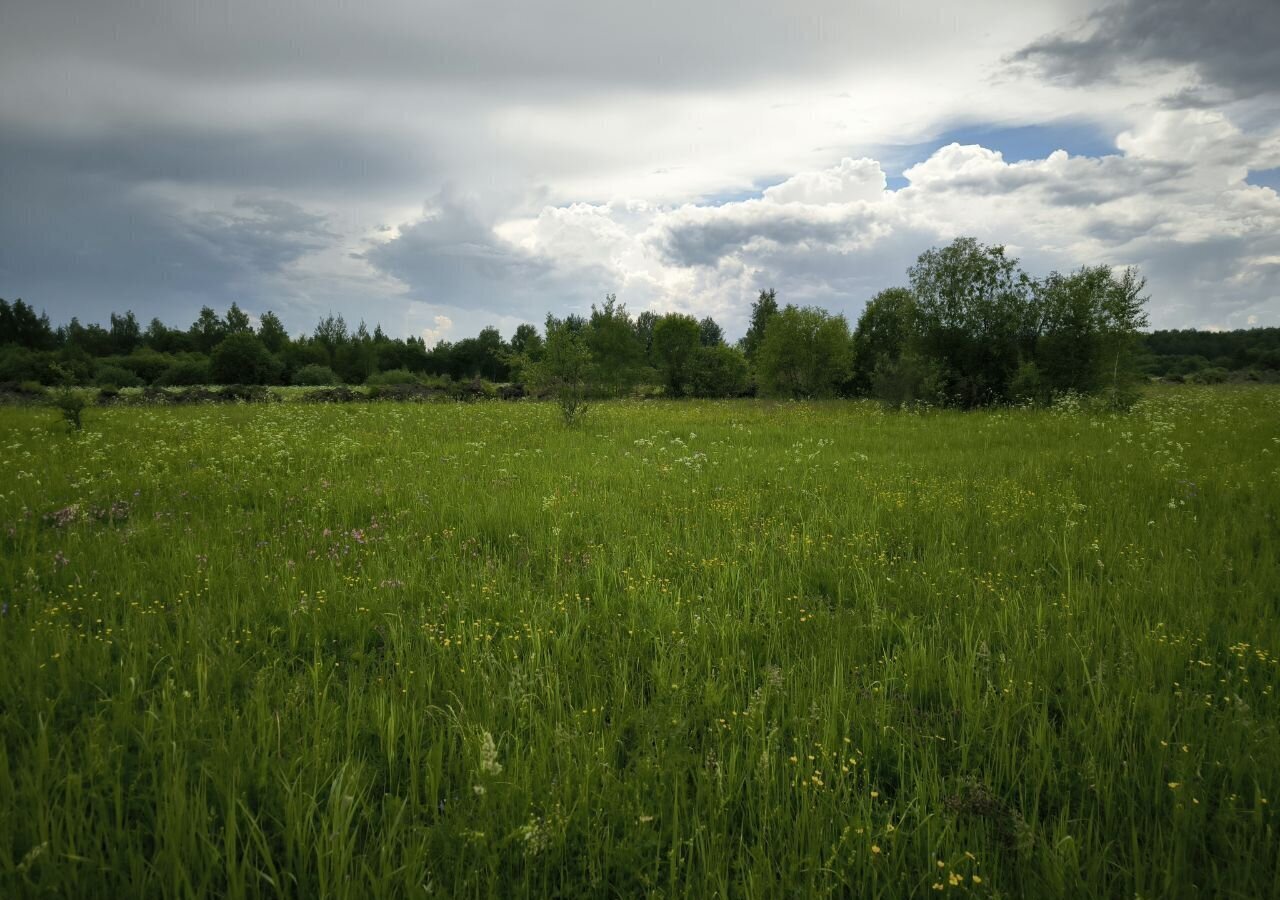 земля городской округ Раменский д Меткомелино 9766 км, Электроизолятор, Луговая ул, СНТ Коптево, Егорьевское шоссе фото 2