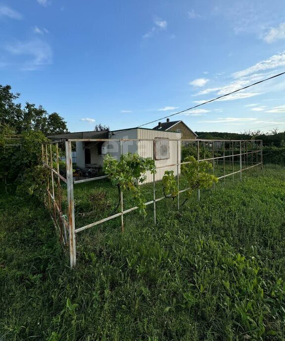 земля г Новороссийск р-н Восточный ул Виноградная фото 11