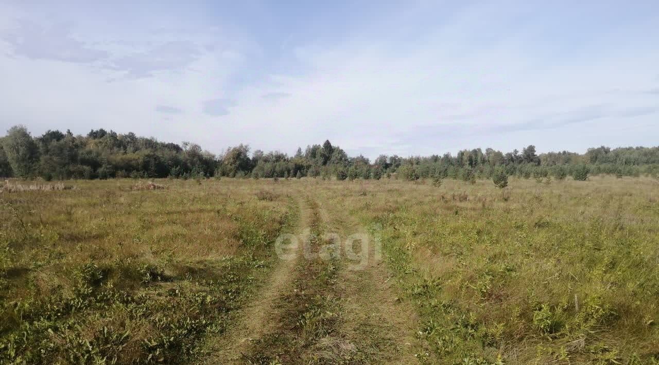 земля р-н Пригородный с Николо-Павловское фото 14