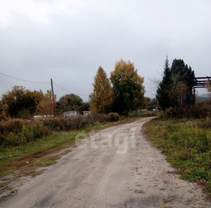 земля р-н Зональный с Соколово ул Советская 82 фото 11