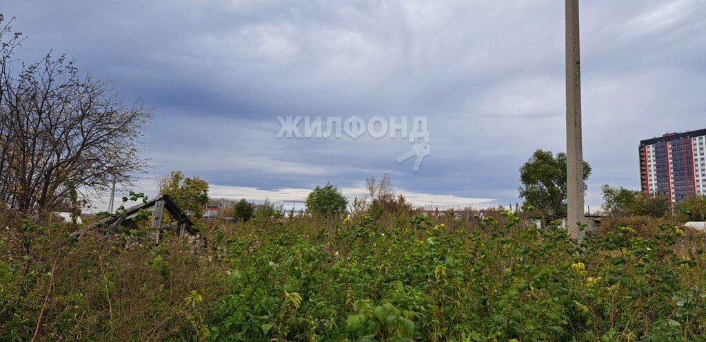 земля г Новосибирск метро Площадь Гарина-Михайловского ул Шоссейная село Криводановка фото 2