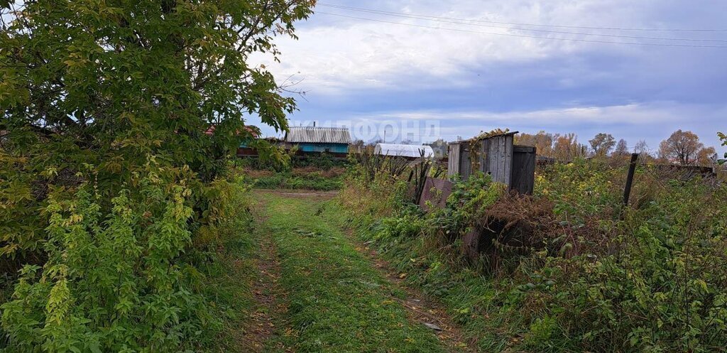 земля г Новосибирск метро Площадь Гарина-Михайловского ул Шоссейная село Криводановка фото 3