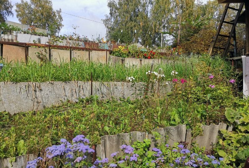 дом р-н Новосибирский Станционный сельсовет, садовое товарищество Яблонька, Новосибирск фото 14