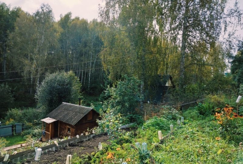 дом р-н Новосибирский Станционный сельсовет, садовое товарищество Яблонька, Новосибирск фото 17