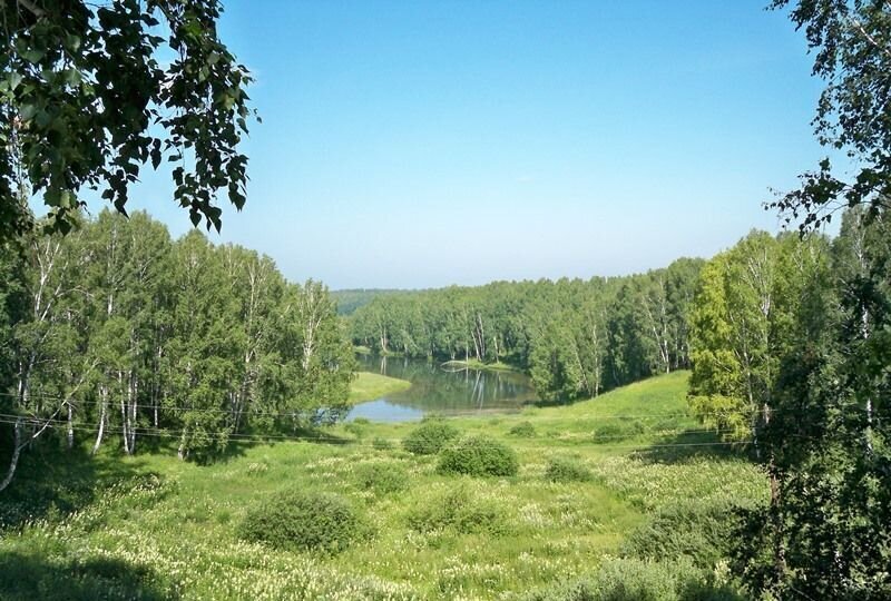 дом р-н Новосибирский Станционный сельсовет, садовое товарищество Яблонька, Новосибирск фото 21