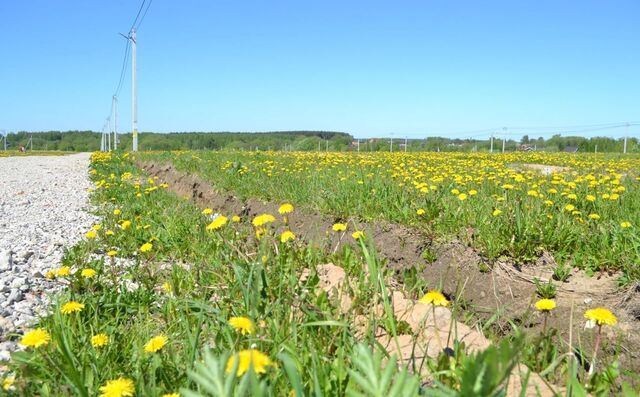 9765 км, Егорьевское шоссе фото