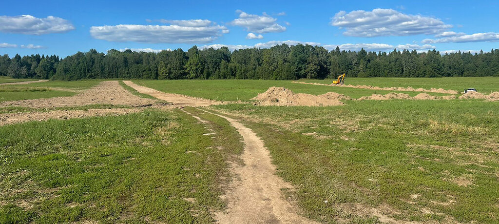 земля городской округ Пушкинский д Василёво фото 4