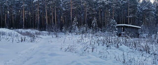 земля Николо-Павловское фото