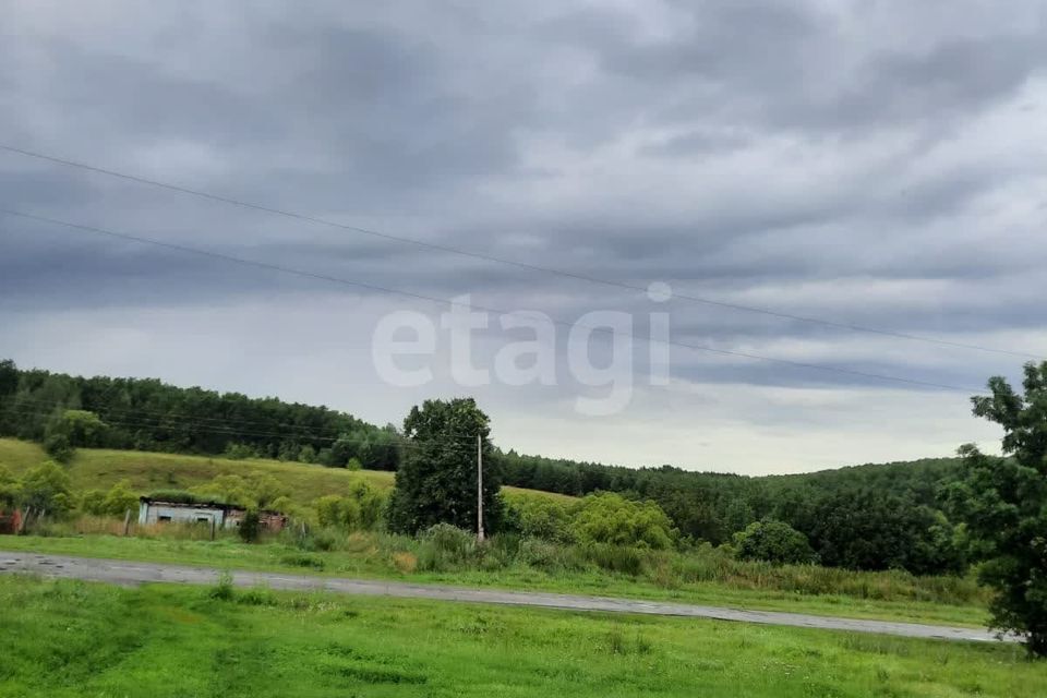 дом р-н Каменский с Блиновка ул Еланская 44 фото 5