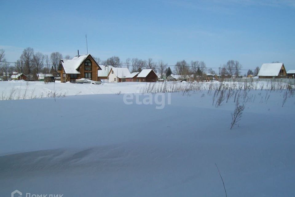 земля р-н Новосибирский СНТ Луч-2 фото 5