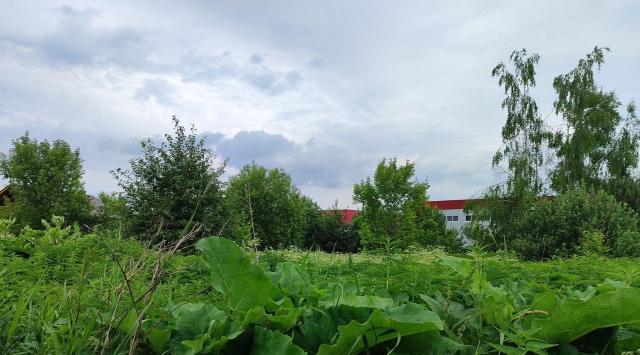 офис городской округ Раменский д Нижнее Велино фото 1