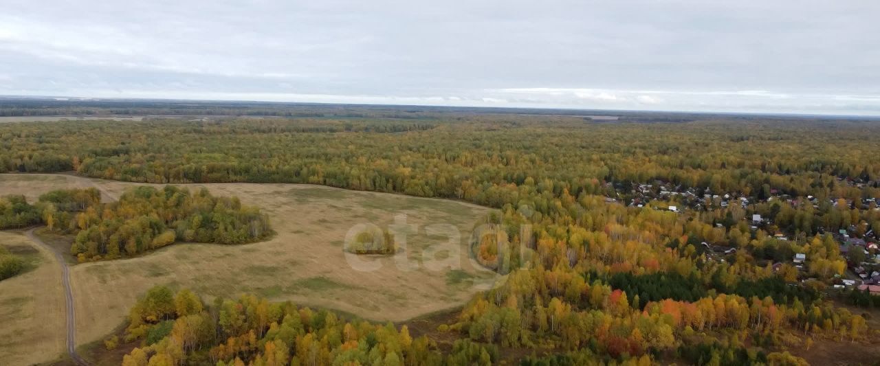 офис р-н Тюменский с Перевалово 10 фото 6