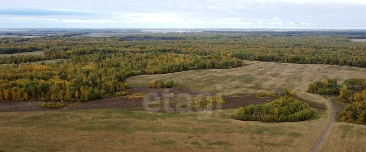 офис р-н Тюменский с Перевалово 10 фото 8