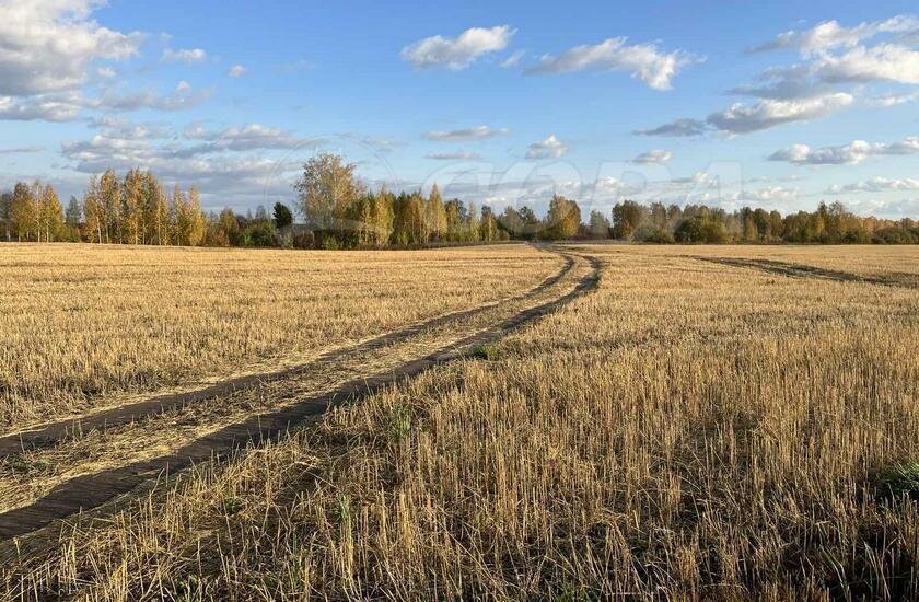 земля Червишевское муниципальное образование фото 1