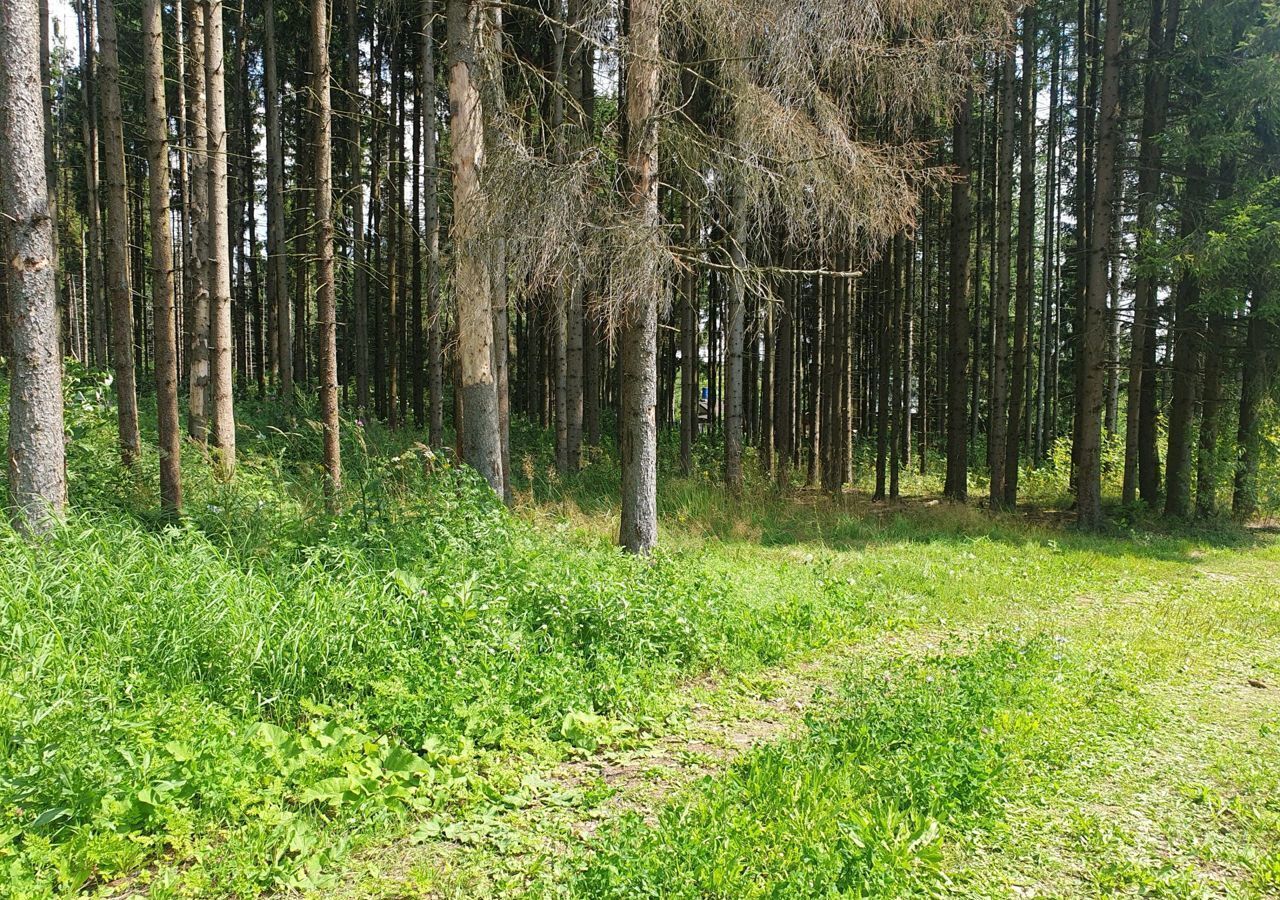 земля городской округ Солнечногорск дп Поварово 9760 км, садовое товарищество Сад Берёзки, 53, г. о. Солнечногорск, Ленинградское шоссе фото 8