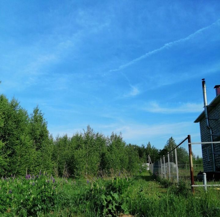 земля р-н Богородский с Дуденево ул Школьная фото 2