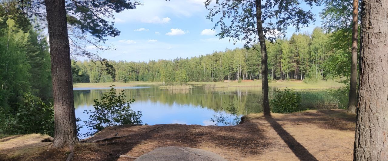 дом р-н Всеволожский массив Ириновка Рахьинское городское поселение, 691 фото 20