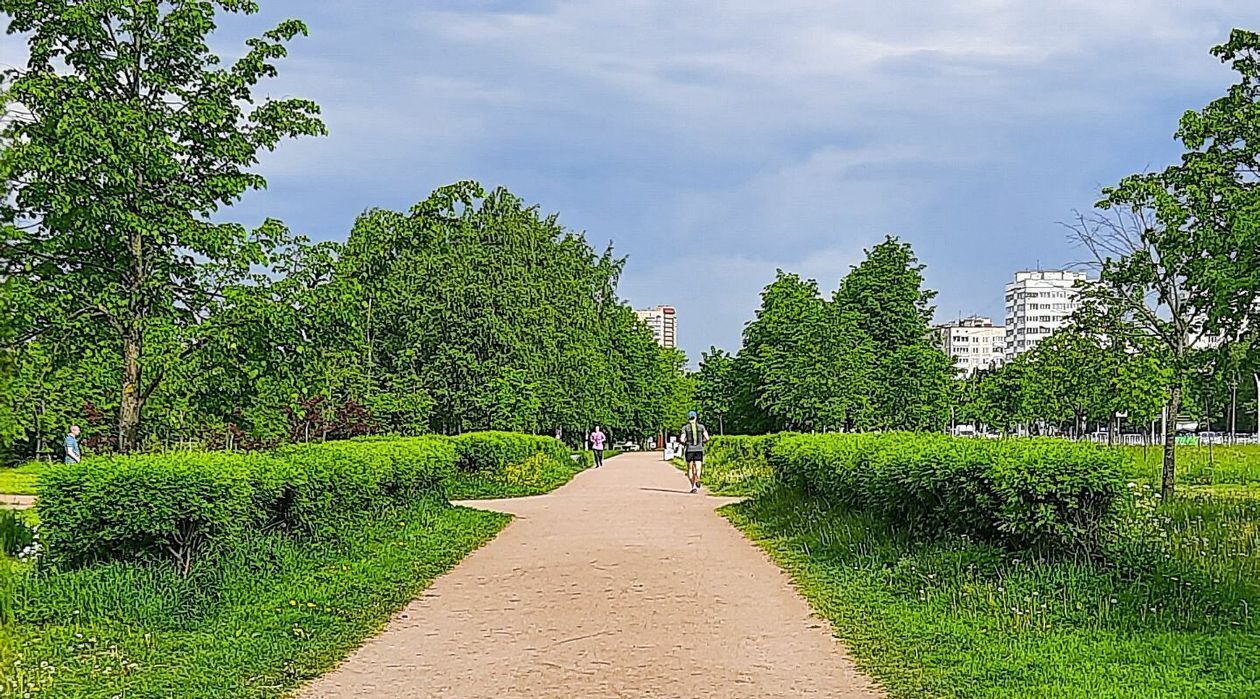 квартира г Санкт-Петербург метро Проспект Просвещения ул Руднева 14к/2 фото 21