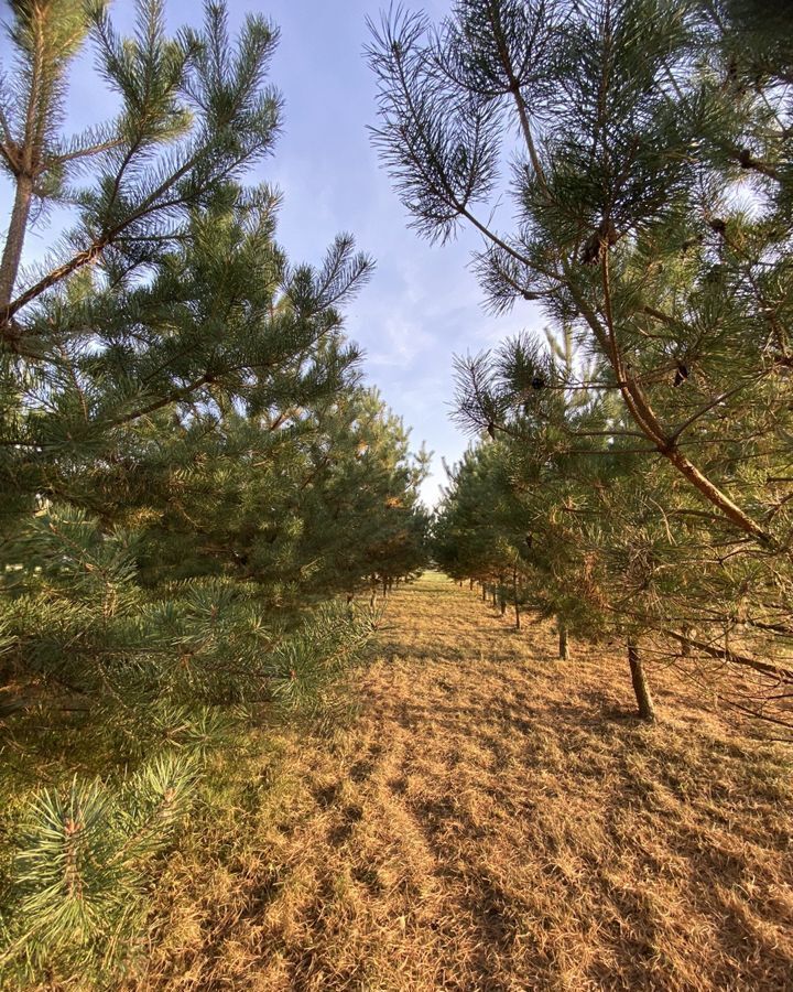 свободного назначения р-н Лебедянский д Калиновка ул Скуратово 15а Большепоповский сельсовет, Лебедянь фото 10