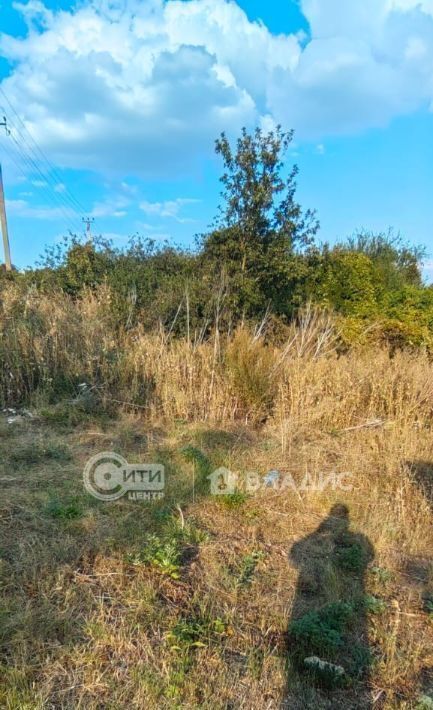 дом р-н Рамонский с Русская Гвоздевка ул Донская фото 1