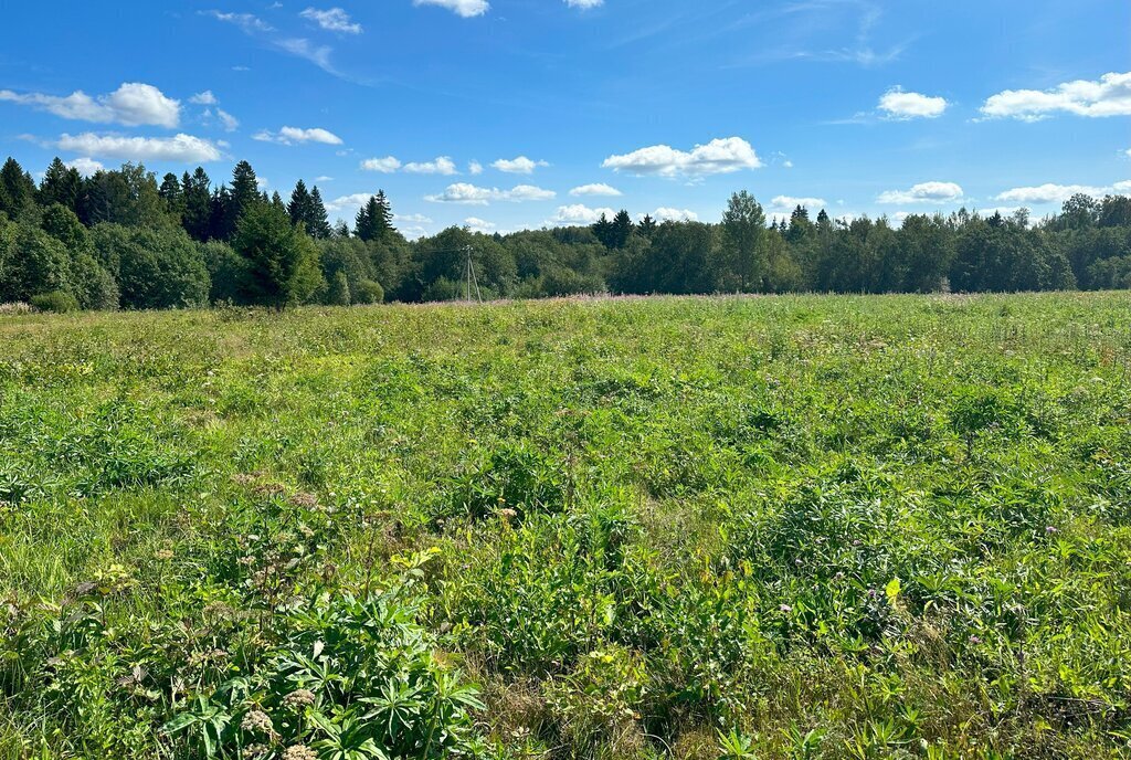 земля городской округ Клин д Кузнецово фото 7