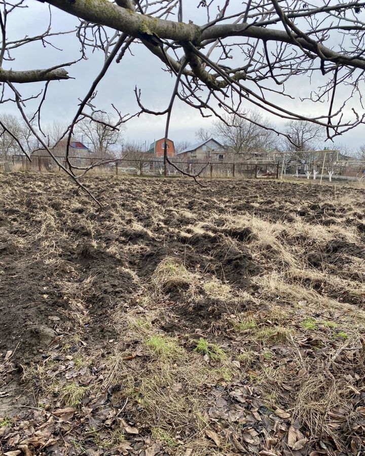 земля р-н Неклиновский с Весело-Вознесенка ул Береговая Платовское сельское поселение, Таганрог фото 5