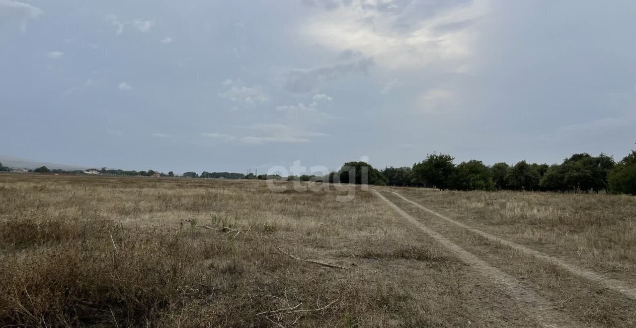 земля р-н Прикубанский с Знаменка ул Счастливая Черкесск фото 2