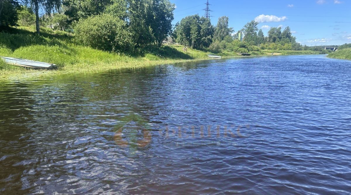 земля р-н Лужский д Чеголи ул Центральная Дзержинское с/пос фото 9