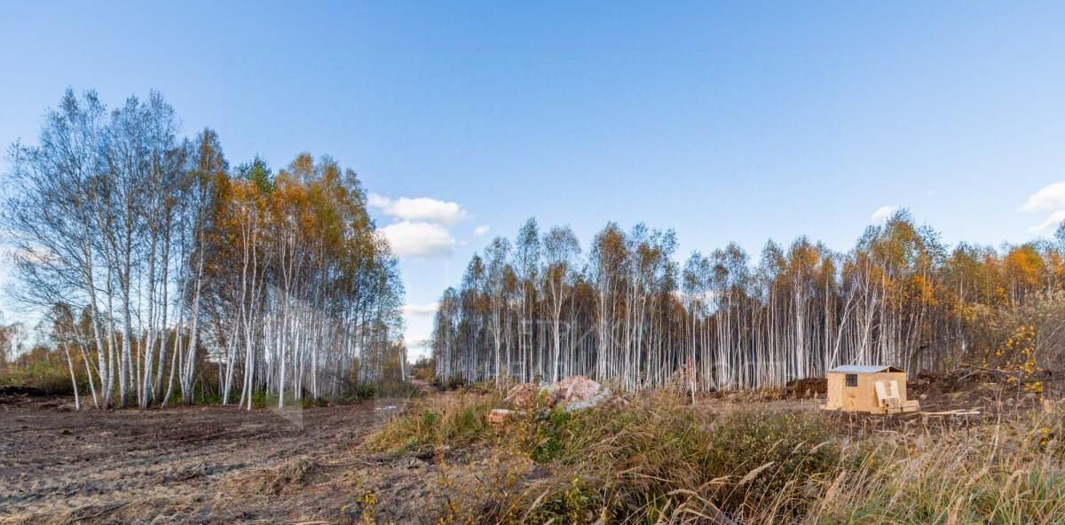 земля р-н Нижнетавдинский снт Строитель ТСН фото 5