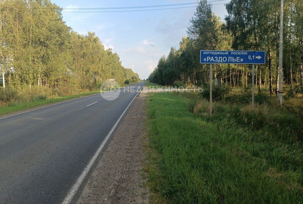 дом р-н Спасский д Агламазово ул Березовая фото 12